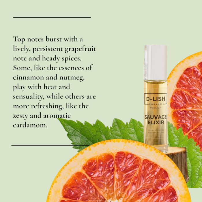 Sauvage Dior-Sauvage-Elixir-perfume